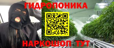 прущие крисы Рязань